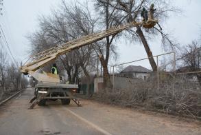 По Аэропортовскому проезду опиливают аварийные деревья