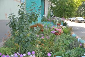 В благоустройстве родного города может поучаствовать каждый