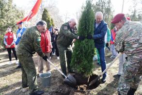 В Астрахани высадили Крымскую аллею