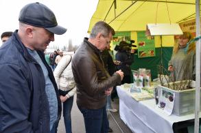 Астраханская ярмарка продолжает радовать разнообразием товаров 