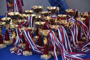 Педагоги приняли участие в спартакиаде