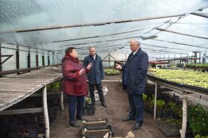 Радик Харисов поручил расширить тепличное хозяйство