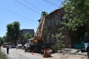 Коммунальщики продолжают проводить санитарную обрезку деревьев