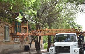 С начала года произведена обрезка более 2500 деревьев