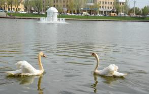 В Астрахани в самом разгаре сезон весеннего благоустройства