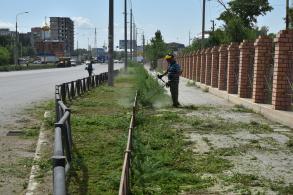 В Астрахани борются с сорной растительностью