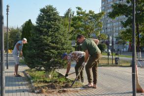 Сквер Ветеранов Советского района городские власти будут обслуживать совместно с управляющей компанией