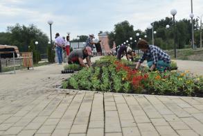 В Астрахани проводится подсадка цветов на клумбы