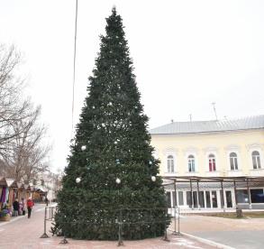 Главную елку города установят у «Атриума»