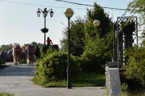 Администрация Астрахани продолжает рейды по незаконному катанию на лошадях