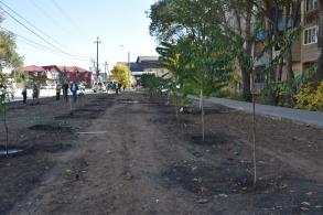 В Кировском районе высадили аллею 