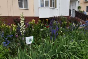 Стартовал второй этап конкурса на лучшее благоустройство дворов и палисадников «Сами садик мы садили» 