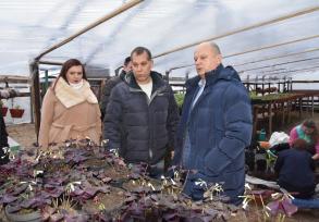 Тепличное хозяйство Астрахани готовится к весне