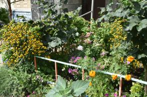 Администрация Астрахани проводит конкурс на лучшее оформление двора