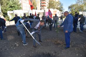 В Астрахани массово озеленяют парки и скверы