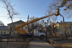 В Морском садике заканчивают омолаживающую обрезку деревьев