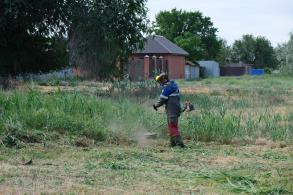 Улицы Астрахани усиленно зачищают от сорной растительности и камыша