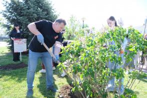 В Астрахани на центральной набережной высадили сирень 