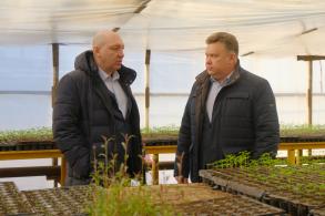 В Астрахани модернизируют городские теплицы