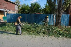 В Астрахани скосили свыше 350 гектаров сорной растительности и камыша 