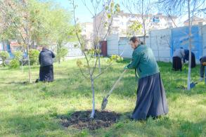 Очередной субботник прошел в парке «Аркадия»