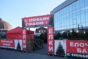 В Астрахани функционируют елочные базары