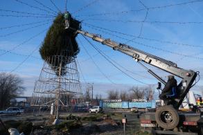 На разворотном кольце Мостстроя собирают живую ель