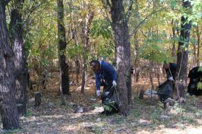 80 мешков мусора собрали на Городском острове