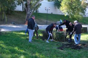 В сквере им. И.Н. Ульянова в центре Астрахани обновляют зеленую зону