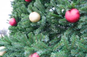 В Астрахани огни на центральной городской елке зажгут в пятницу