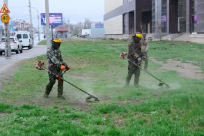 В Астрахани вдоль улиц скашивают сорную растительность и камыш