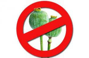 ИНФОРМАЦИЯ  об итогах проведения операции «МАК-2017»