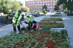 В Астрахани приступили к осенней высадке цветов