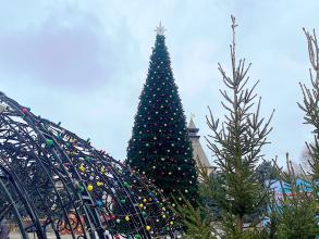 Сегодня на главной ёлке Астрахани зажгут огни