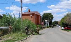 В июне в Астрахани от камыша и сорной растительности прокосили 54 га территории