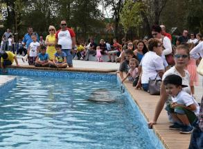 На День города в «Аркадии» запустили фонтан 