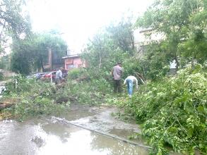 Коммунальным отделом администрации Ленинского района в период с 07.06.2016 по 16.06.2016 организованы мероприятия по удалению дождевой воды с улиц Ленинского района и уходные работы за зелеными насаждениями.