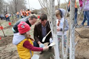 Акция «Дерево Победы» продолжается