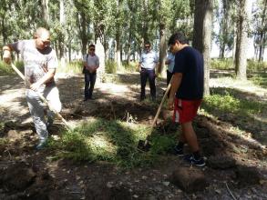 В Ленинском районе уничтожены заросли дикорастущей конопли