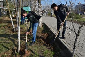 Все на субботник!