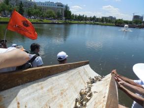 В Лебединое озеро выпустили рыбу