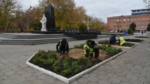 В парке АГУ высадили тысячу тюльпанов