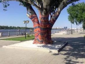 У тополя на набережной Волги появился вязаный наряд