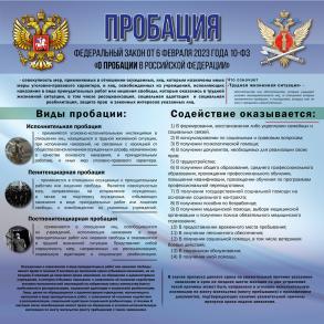 На территории Российской Федерации осуществляется развитие института пробации...