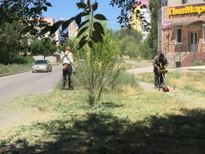 Коммунальным отделом администрации Ленинского района в период с 04.07.2016 по 08.07.2016 в рамках имеющихся полномочий организованы мероприятия по скосу сорной растительности и опиловке деревьев.