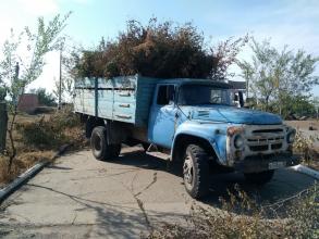 В рамках Дня чистоты.