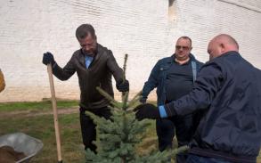 У кремля стало на десять елок больше