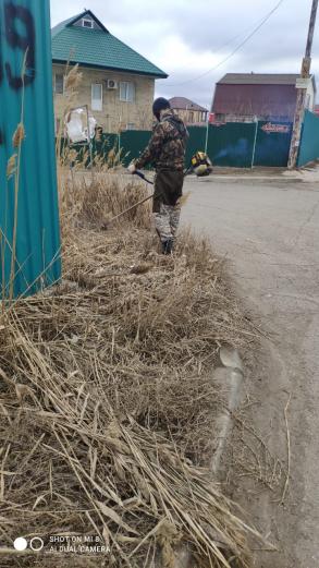 Скос камышовой растительности на территории Кировского района города Астрахани