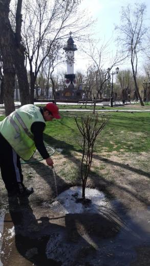 В парках и скверах Астрахани высадили деревья и цветы