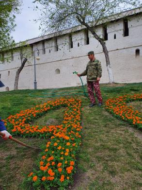 В Астрахани высадят 500 тысяч цветов